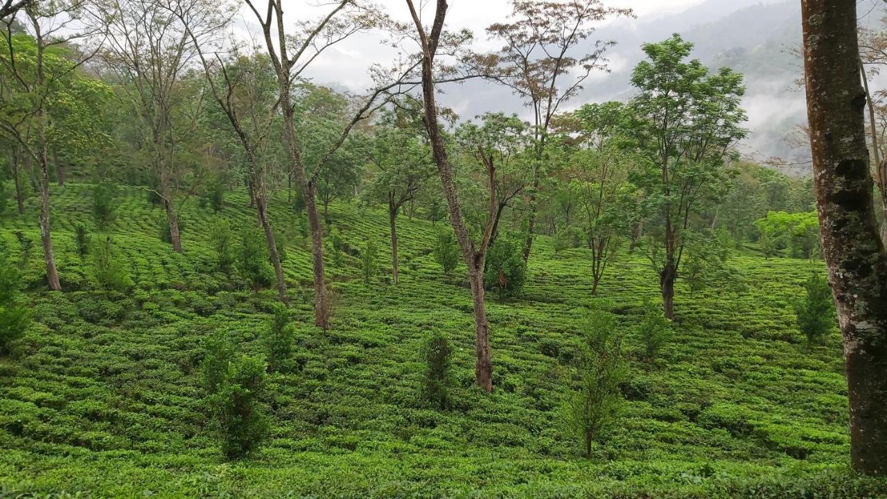 Eviana Homestay Darjeeling  Exterior photo